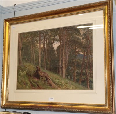 Lot 1063 - Charles Reginald Aston RI (1832-1908), Deer in a verdant woodland, indistinctly signed, watercolour