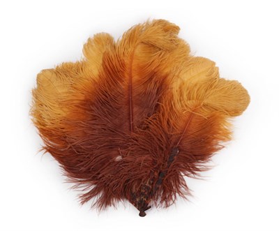 Lot 4087 - A Large and Rather Delicious Early 20th Century Ostrich Feather Fan, the colours shading from...