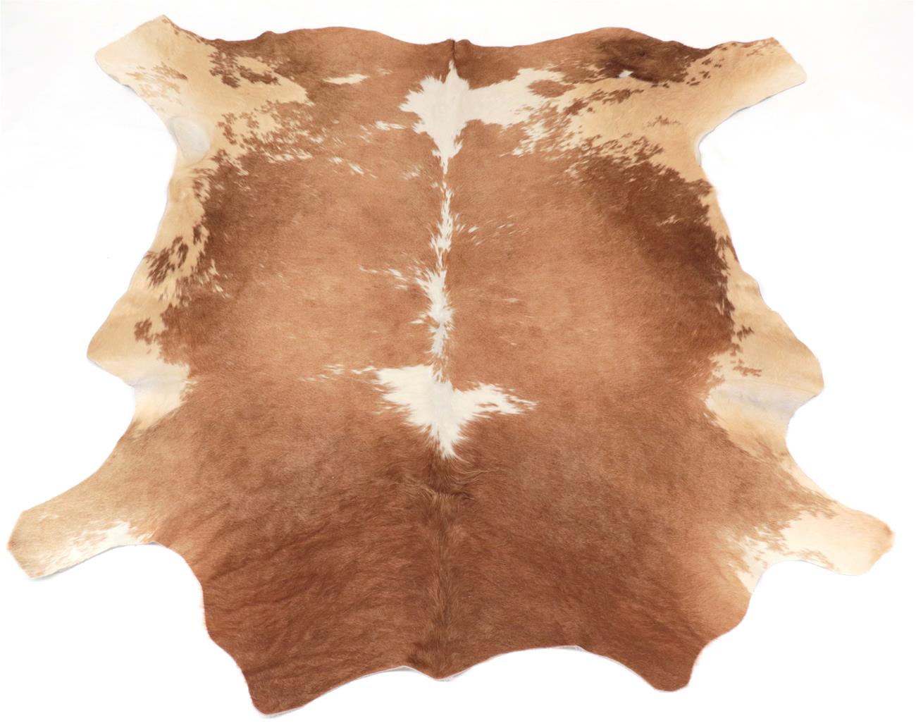 Lot 18 - Skins/Hides: South African Nguni Cow Hide (Bos taurus), modern, AA Grade, excellent quality,...