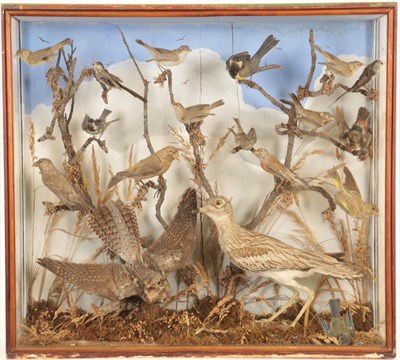 Lot 20 - Taxidermy: A Late Victorian Diorama of British Birds, circa 1898, by Francis Artlett, Bird Stuffer
