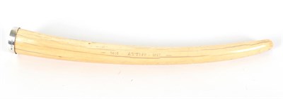 Lot 81 - Tusks: A Silver Mounted Walrus Tusk (Odobenus rosmarus), circa early 19th century, a complete...