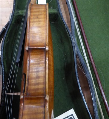 Lot 2020 - Violin 14'' two piece back, ebony fingerboard, labelled 'Jacobus Stainer In Absam Prope...