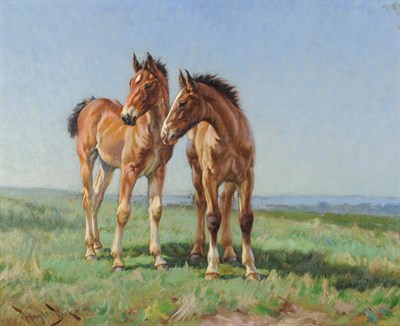 Lot 904 - Wright Barker RBA (1864-1941) Two foals standing in a summer landscape  Signed, oil on canvas,...