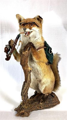 Lot 3067 - Taxidermy: An Austro-German Anthropomorphic Red Fox Hiker, circa late 20th century, a full...