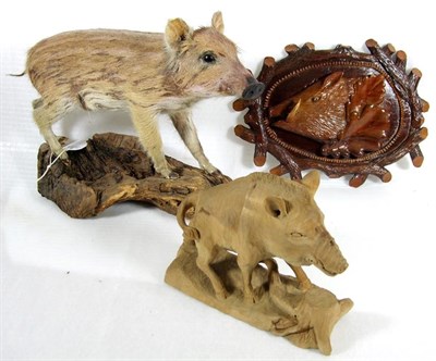 Lot 3068 - Taxidermy: A European Wild Boar Piglet (Sus scrofa), modern, a full mount piglet stood upon a small