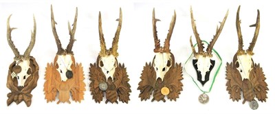 Lot 3077 - Antlers/Horns: European Roebuck (Capreolus capreolus) circa 1980, six sets of large medal class...
