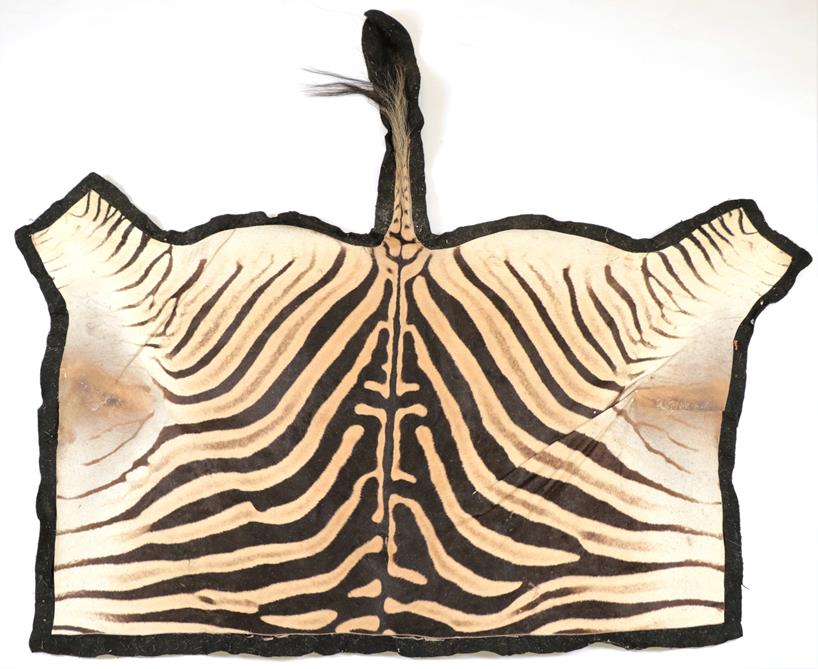 Lot 3085 - Taxidermy: Burchell's Zebra Flank Skin Rug (Equus quagga), modern, South Africa, high quality...