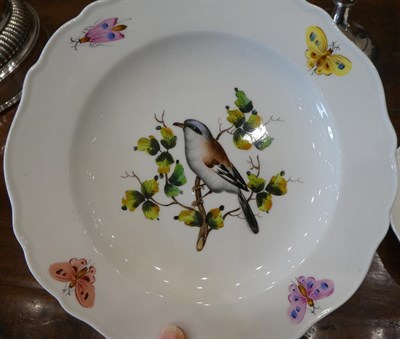 Lot 75 - A Set of Twelve Meissen Porcelain Ornithological Dessert Plates, circa 1900, painted with birds...