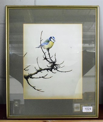 Lot 1024 - Alan M Hunt (B.1947) Study of a blue tit, signed and dated 1981, mixed media 28cm by 22cm