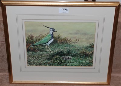 Lot 1076 - Alan M Hunt (B.1947) Lapwing and chick in a landscape, signed mixed media