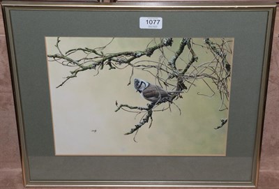 Lot 1077 - Alan M Hunt (B.1947) Crested tit on a branch, signed and dates 1982, mixed media