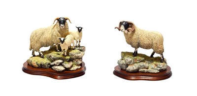 Lot 25 - Border Fine Arts 'Blackie Tup', model No. B0354, limited edition 904/1750 and 'A Ewe and a...