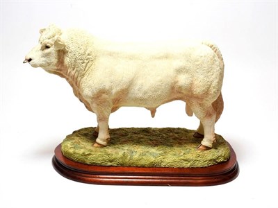 Lot 33 - Border Fine Arts 'Charolais Bull' (Style Two), model No. B0587 by Jack Crewdson, limited...