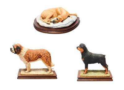 Lot 44 - Border Fine Arts Dog Models Comprising: 'St. Bernard', model No. L65, limited edition 443/500, with