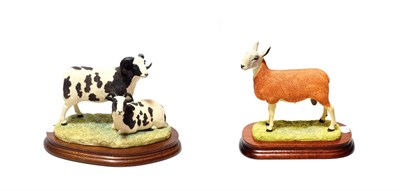 Lot 81 - Border Fine Arts 'Jacob Sheep' (Four-Horned), model No. B0352, limited edition 372/750, and...