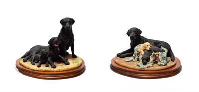 Lot 86 - Border Fine Arts 'Labrador and Pups', model No. BO350B, limited edition 269/950, with...