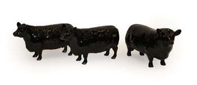 Lot 188 - Beswick Cattle Comprising: Aberdeen Angus Bull, model No. 1562 and two Aberdeen Angus Cows,...