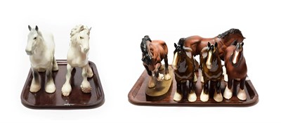 Lot 241 - Beswick Shire Horses Including: Shire Mare, model No. 818, Cantering Shire, model No. 975 and...