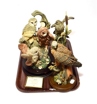 Lot 256 - Country Artists Bird Models Including: 'Herald of Spring' by David Ivey, limited edition...