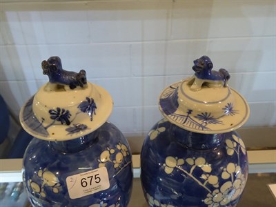 Lot 675 - A pair of early 20th century Chinese blue and white prunus and cracked ice baluster vases and...