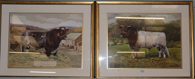 Lot 1033 - Reginald Earl (20th century) ''Astor Duke'' prize bull standing; together with with a further study