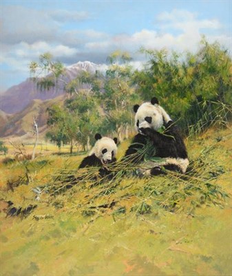 Lot 1054 - John Seerey-Lester (b.1946) American Giant Pandas eating Bamboo Signed, oil on canvas, 61.5cm...