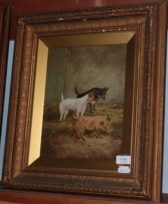 Lot 1143 - Circle of George Armfield  Three Terriers in a barn  Oil on canvas