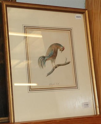 Lot 1150 - 'A Jungle Cock', watercolour bird illustration, 18th or 19th century, 210mm by 175mm visible,...