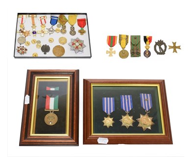 Lot 8 - A Collection of Foreign Medals, including Belgian Second World War Commemorative  Medal...