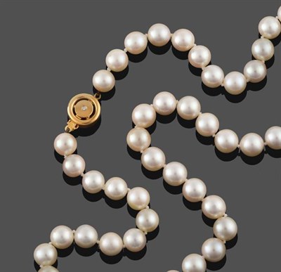 Lot 2264 - A Cultured Pearl Necklace, the fifty cultured pearls knotted to an 18 carat yellow gold...