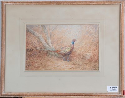 Lot 1027 - Vincent Balfour-Browne (1880-1963) Pheasant Partridge and young Signed and dated 1954, watercolour