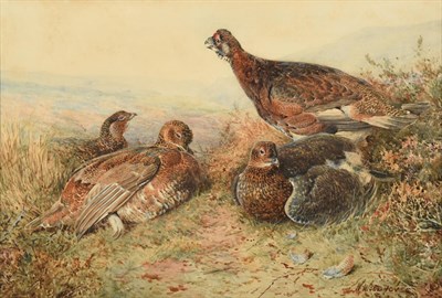 Lot 1032 - William Woodhouse (1857-1939) Covey of Grouse Signed, watercolour, 37cm by 54.5cm