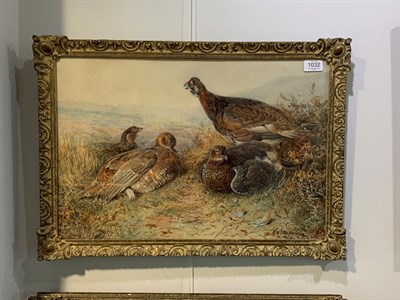 Lot 1032 - William Woodhouse (1857-1939) Covey of Grouse Signed, watercolour, 37cm by 54.5cm