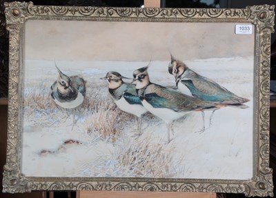 Lot 1033 - William Woodhouse (1857-1939) A deceit of Lapwings Signed, watercolour, 37cm by 54.5cm