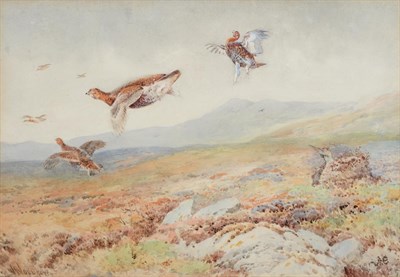 Lot 1034 - William Woodhouse (1857-1939) A covey of Grouse crossing the line Signed, watercolour, 25cm by 37cm
