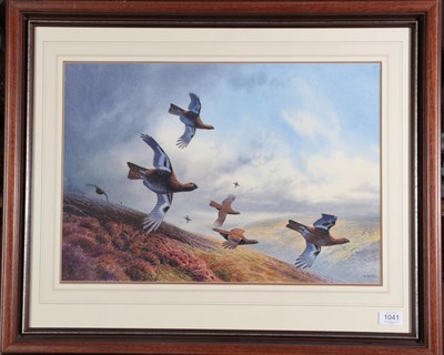Lot 1041 - Peter Allis (b.1944) Covey of Grouse in flight Signed, gouache, 36cm by 52.5cm    Artist's...