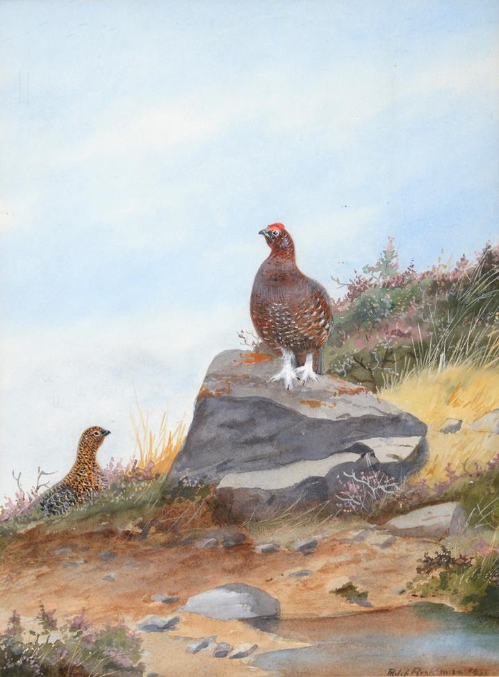 Lot 1042 - Philip Rickman (1891-1982) ''Grouse''  Signed and dated 197*, watercolour, 38cm by 28.5cm...