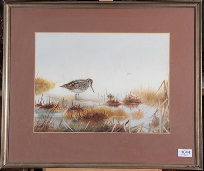 Lot 1044 - Philip Rickman (1891-1982) ''Jack Snipe''  Signed and dated 1973, watercolour, 28cm by 37.5cm...