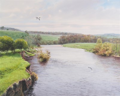 Lot 1049 - Roger McPhail (b.1953) A Salmon jumping in the River Lune near Hornby  Signed, watercolour...