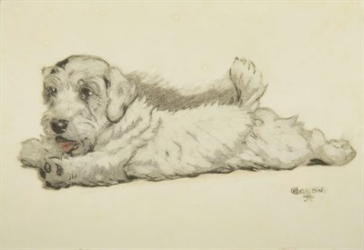Lot 1053 - Cecil Charles Windsor Aldin (1870-1935) Study of a terrier puppy  Signed, pencil and watercolour on
