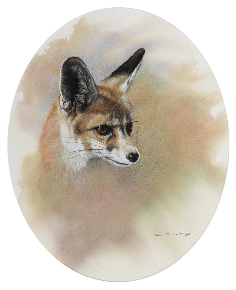 Lot 1061 - Alan M Hunt (b.1947) Study of a Fox cub  Signed and dated 1982, watercolour and gouache, 23.5cm...