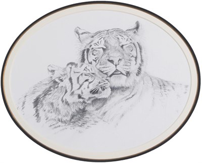 Lot 1062 - Alan M Hunt (b.1947) Study of two Tigers Pencil, 30.5cm dia. (oval)  Provenance: Given as a gift by