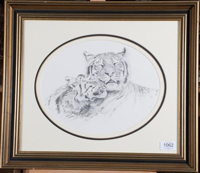 Lot 1062 - Alan M Hunt (b.1947) Study of two Tigers Pencil, 30.5cm dia. (oval)  Provenance: Given as a gift by