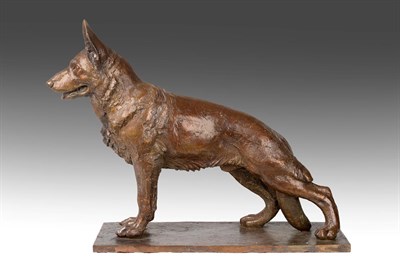 Lot 1097 - Sally Arnup FRBS, ARCA (1930-2015) ''German Shepherd'' Signed and numbered IV/X, bronze, 39cm high