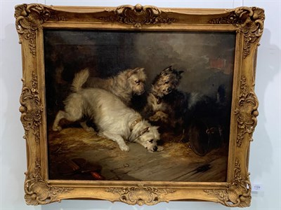 Lot 1104 - George Armfield (1810-1893) Terriers ratting in a stable Signed and dated 1854, oil on canvas, 62cm