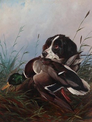Lot 1106 - Colin Graeme Roe (1858-1910) Spaniel retrieving a duck Signed, oil on canvas, 60cm by 44.5cm