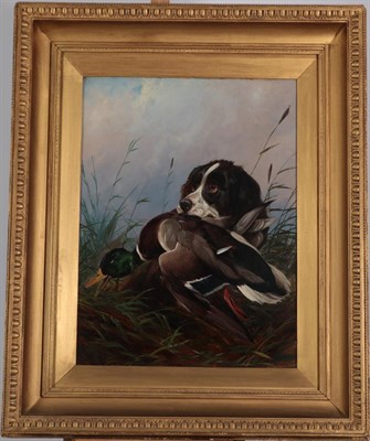 Lot 1106 - Colin Graeme Roe (1858-1910) Spaniel retrieving a duck Signed, oil on canvas, 60cm by 44.5cm