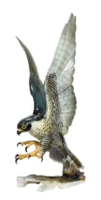 Lot 77 - A Hutschenreuther Peregrine Falcon, late 20th century, naturalistically modelled and painted...