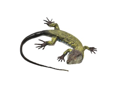 Lot 345 - Frans Bergman: A Cold Painted Bronze Model of a Lizard, early 20th century, naturalistically...