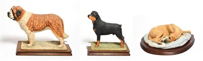 Lot 6 - Border Fine Arts Dog Models Comprising: 'St. Bernard', model No. L65, limited edition 443/500, with